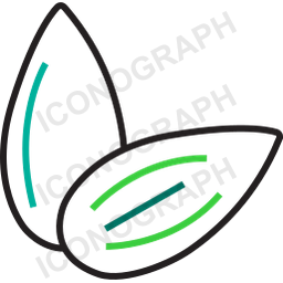 Almond icon